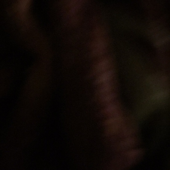 Meet your Posher, Mike - Picture 1 of 1